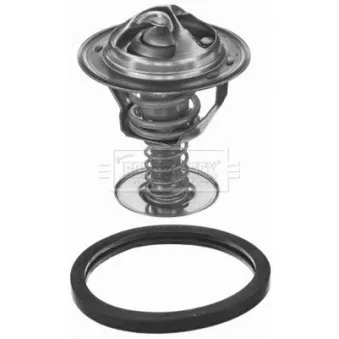 Thermostat d'eau BORG & BECK BBT385
