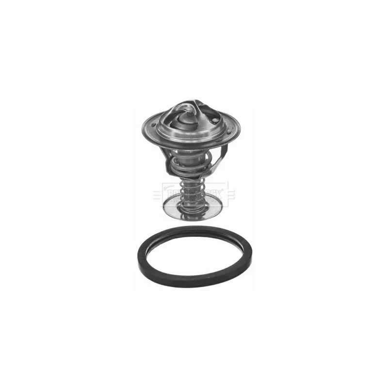Thermostat d'eau BORG & BECK BBT385