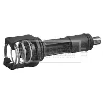 Thermostat d'eau BORG & BECK BBT386