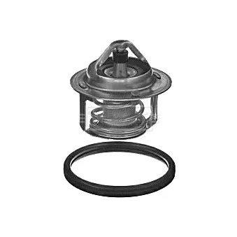 Thermostat d'eau BORG & BECK BBT390