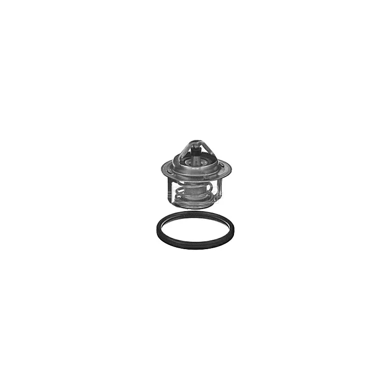 Thermostat d'eau BORG & BECK BBT390