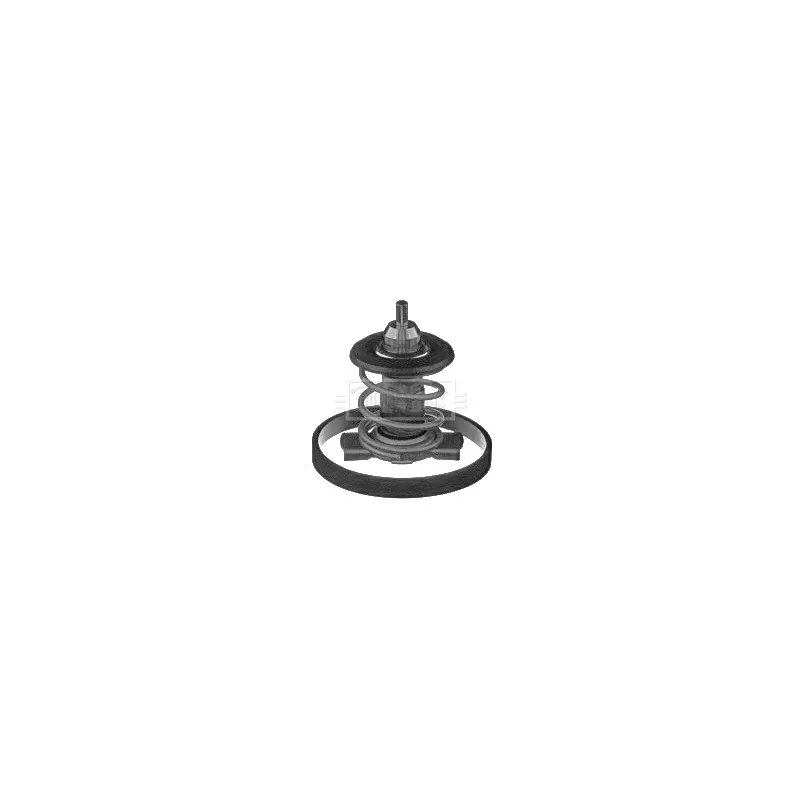 Thermostat d'eau BORG & BECK BBT393