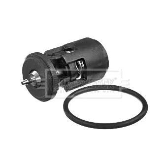 Thermostat d'eau BORG & BECK BBT394