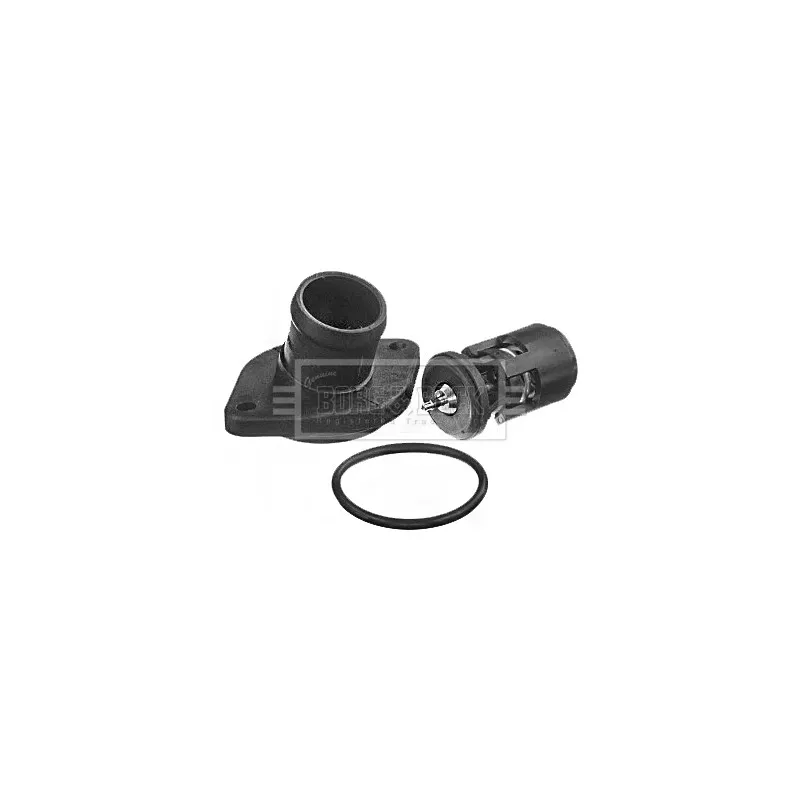 Thermostat d'eau BORG & BECK BBT395