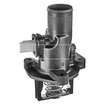 Thermostat d'eau BORG & BECK BBT400
