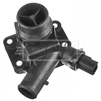 Thermostat d'eau BORG & BECK BBT403