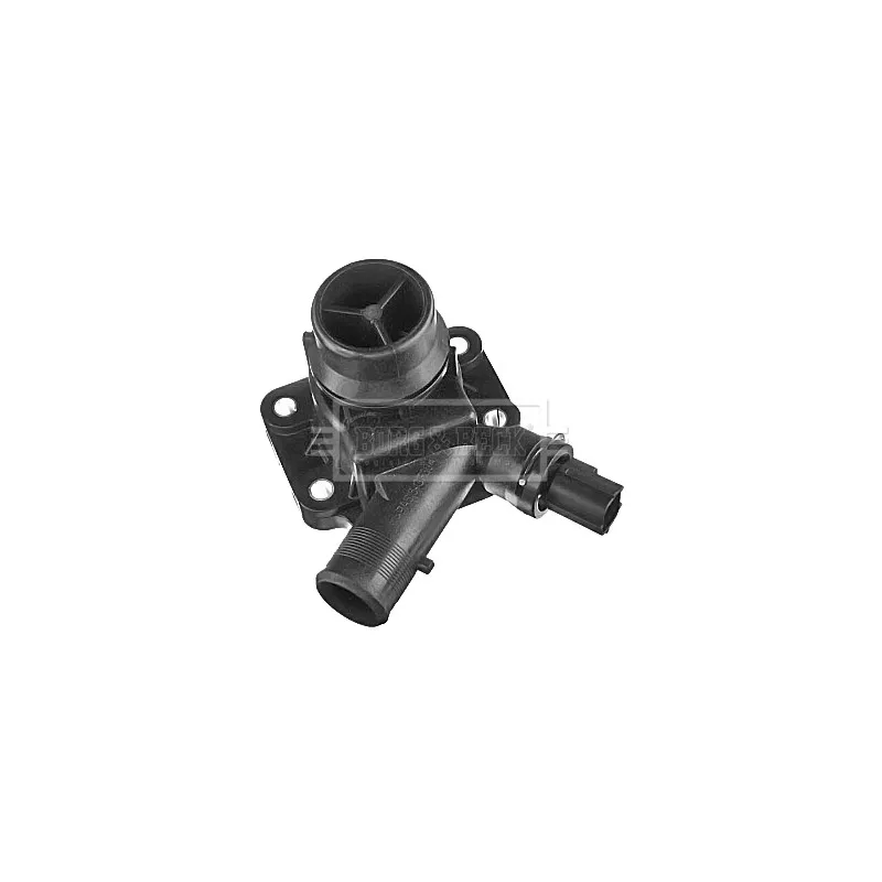 Thermostat d'eau BORG & BECK BBT403