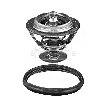 Thermostat d'eau BORG & BECK BBT410