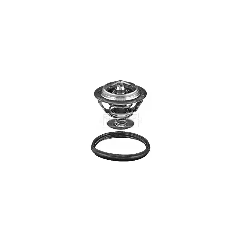 Thermostat d'eau BORG & BECK BBT410