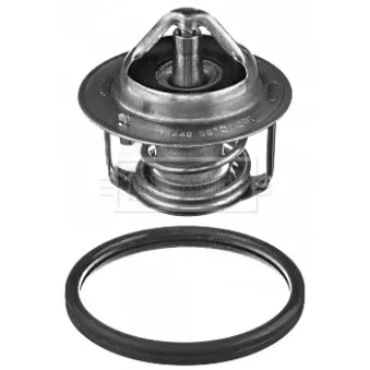 Thermostat d'eau BORG & BECK BBT412