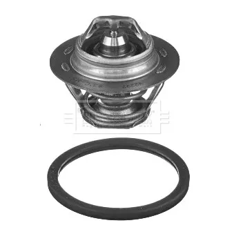 Thermostat d'eau BORG & BECK BBT413