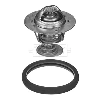 Thermostat d'eau BORG & BECK BBT417