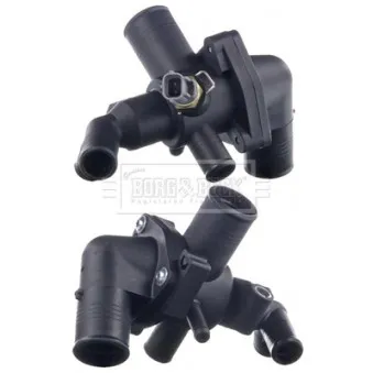Thermostat d'eau BORG & BECK BBT424