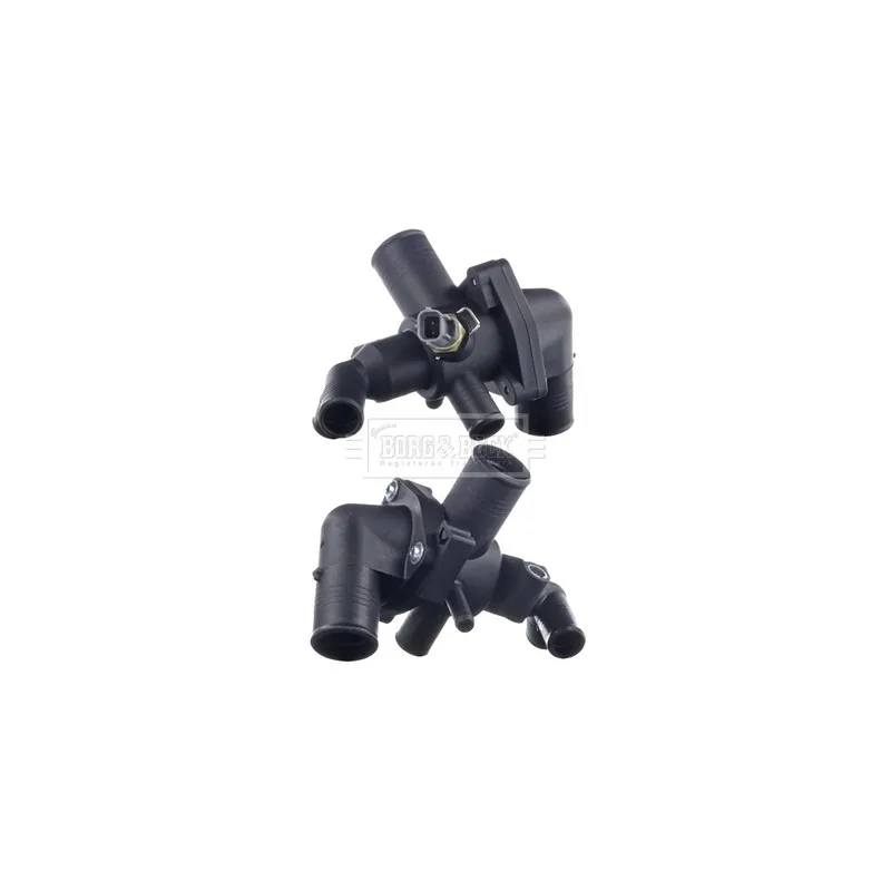 Thermostat d'eau BORG & BECK BBT424