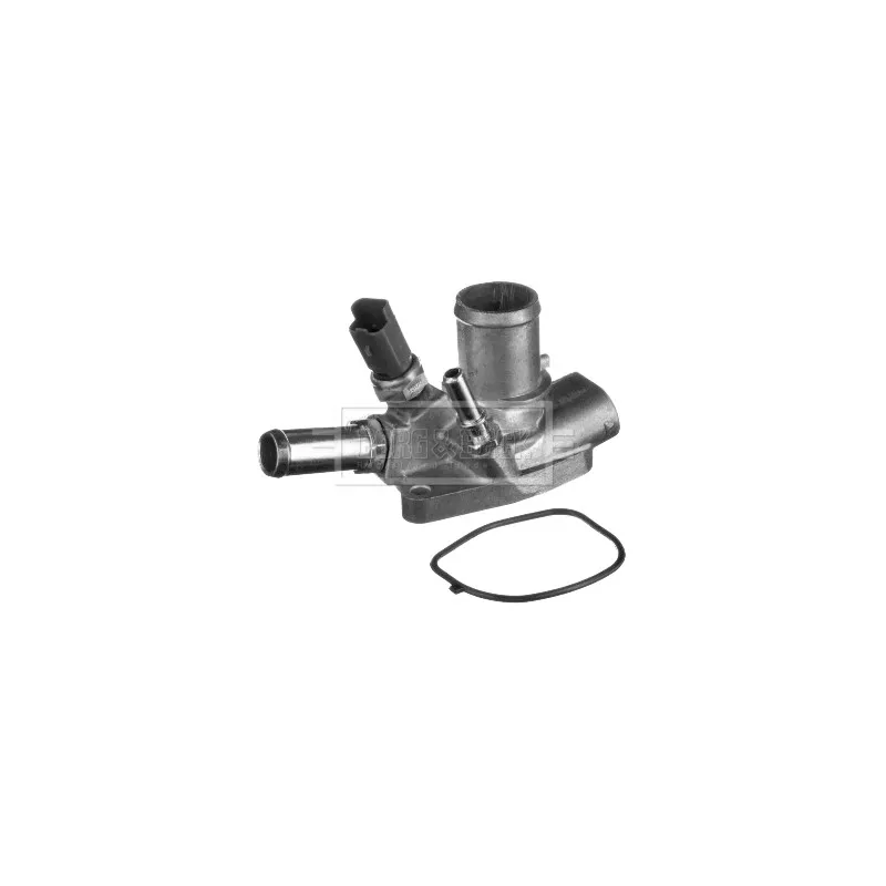 Thermostat d'eau BORG & BECK BBT425