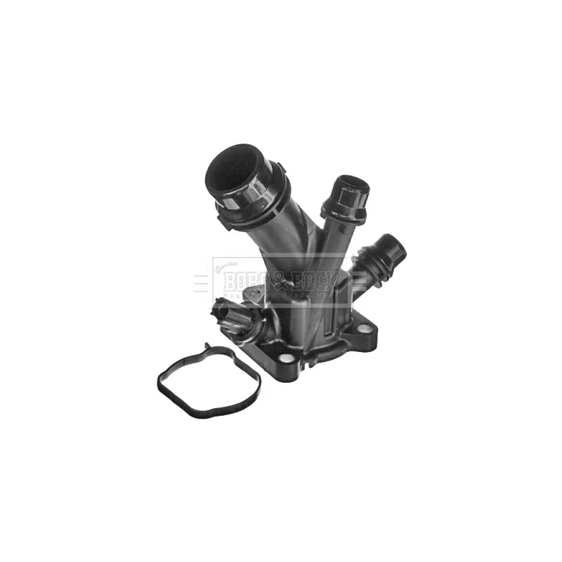 Thermostat d'eau BORG & BECK BBT427
