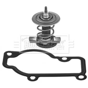 Thermostat d'eau BORG & BECK BBT431