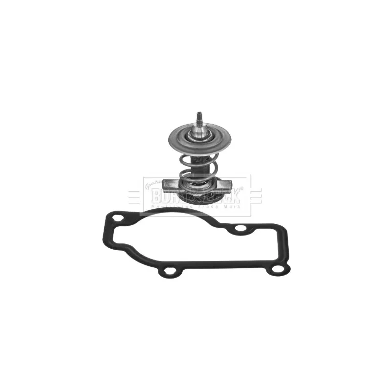 Thermostat d'eau BORG & BECK BBT431