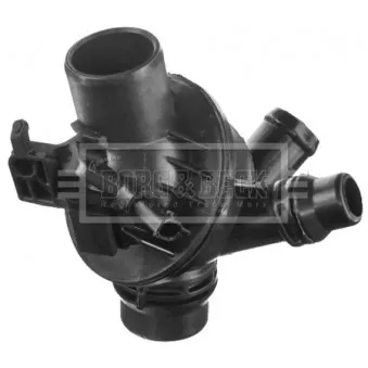 Thermostat d'eau BORG & BECK BBT436