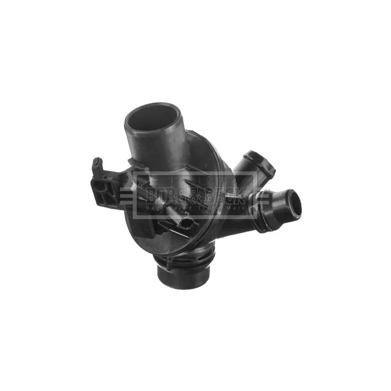 Thermostat d'eau BORG & BECK BBT436