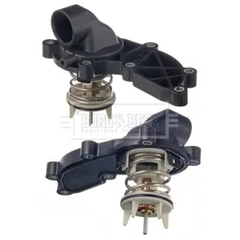 Thermostat d'eau BORG & BECK BBT437