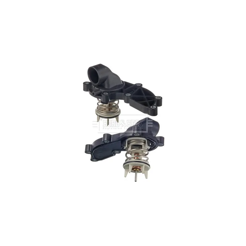 Thermostat d'eau BORG & BECK BBT437