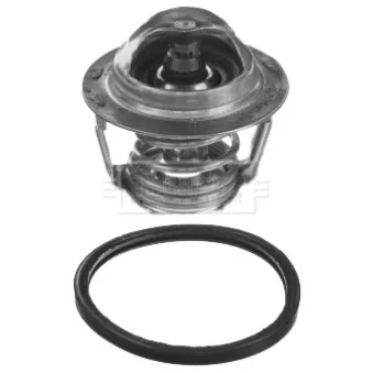 Thermostat d'eau BORG & BECK BBT439