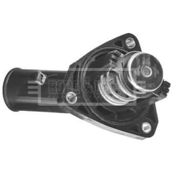 Thermostat d'eau BORG & BECK BBT441