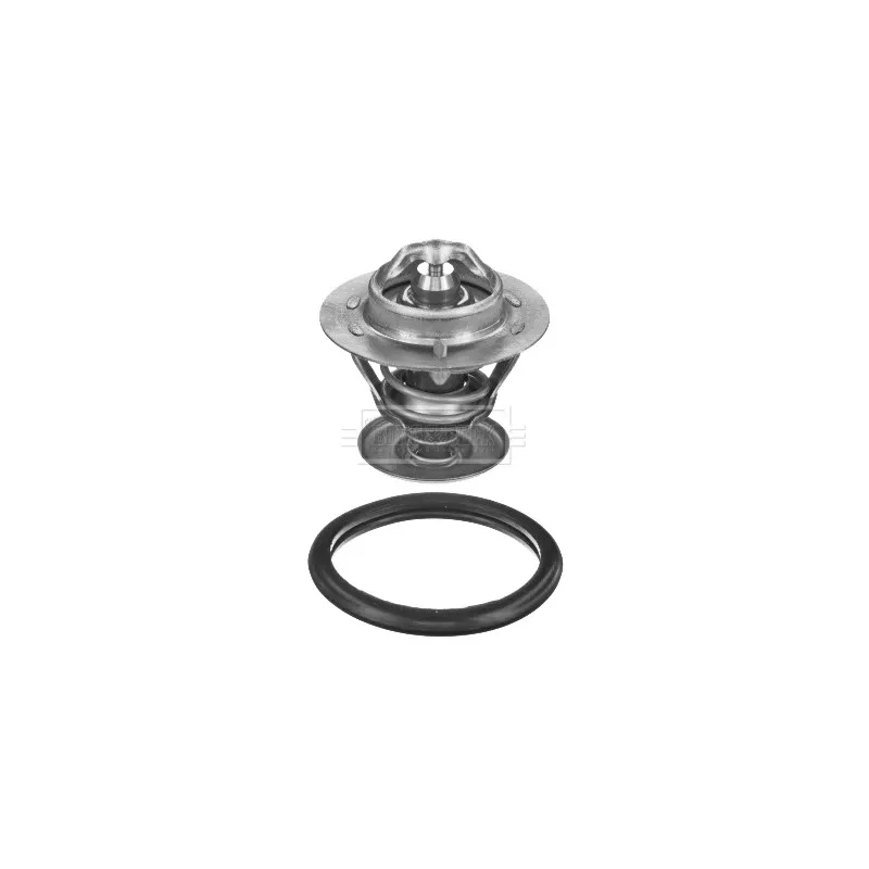 Thermostat d'eau BORG & BECK BBT442