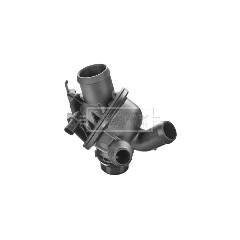Thermostat d'eau BORG & BECK BBT443