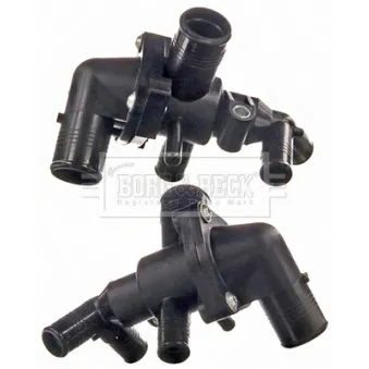 Thermostat d'eau BORG & BECK BBT444