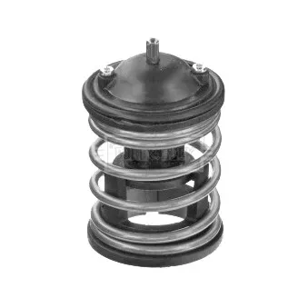 Thermostat d'eau BORG & BECK BBT446