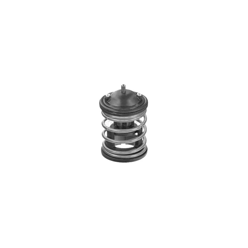 Thermostat d'eau BORG & BECK BBT446