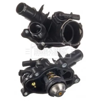 Thermostat d'eau BORG & BECK BBT448
