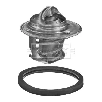 Thermostat d'eau BORG & BECK BBT450