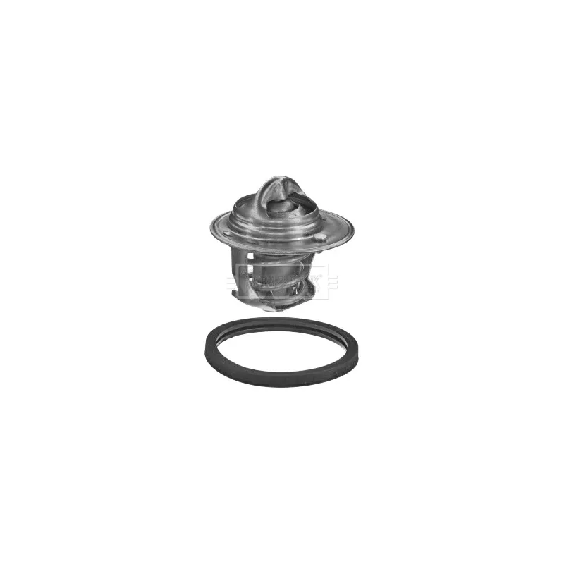 Thermostat d'eau BORG & BECK BBT450