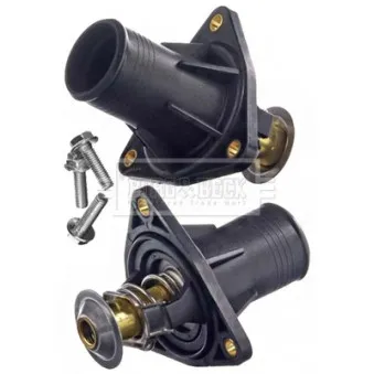 Thermostat d'eau BORG & BECK BBT452