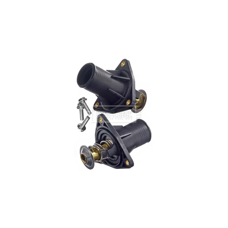Thermostat d'eau BORG & BECK BBT452