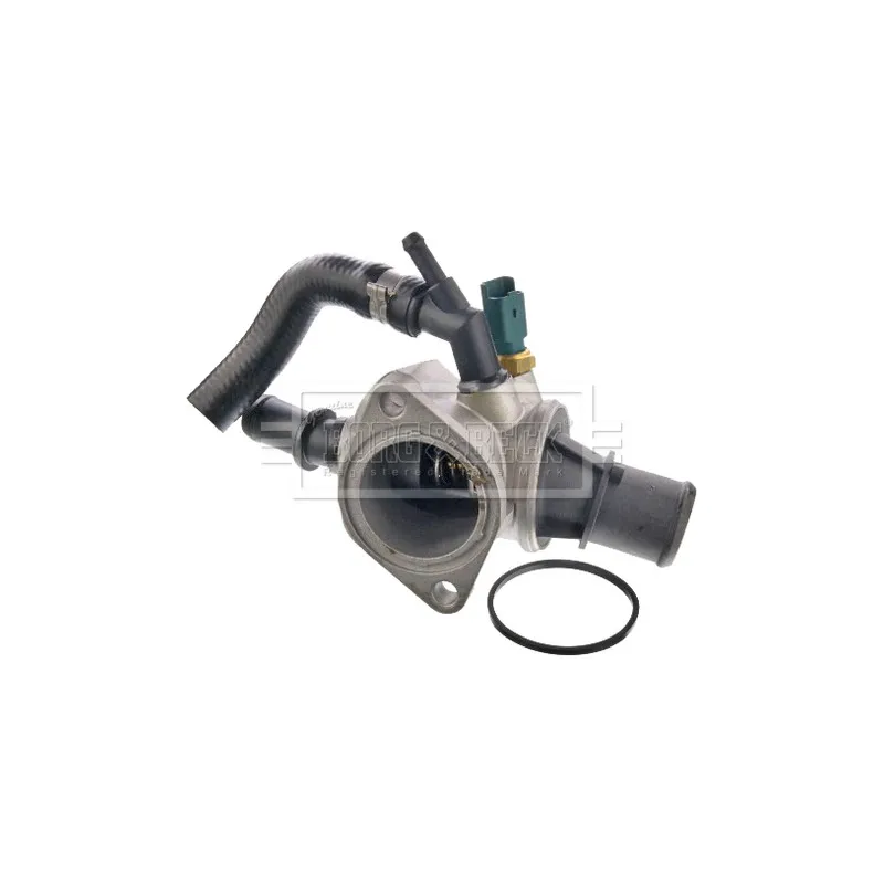 Thermostat d'eau BORG & BECK BBT456