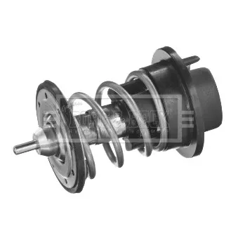 Thermostat d'eau BORG & BECK BBT463