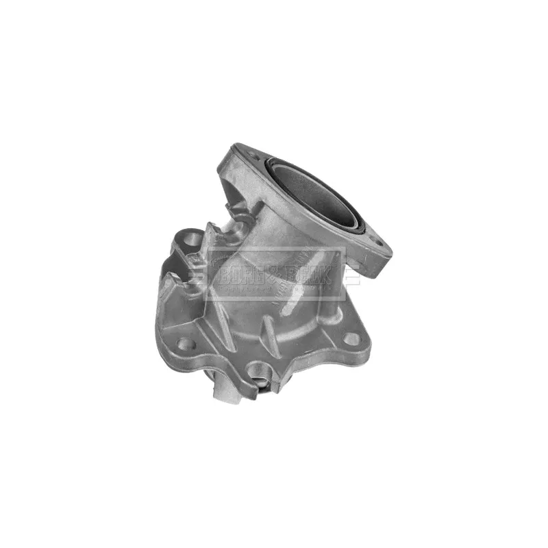 Thermostat d'eau BORG & BECK BBT467