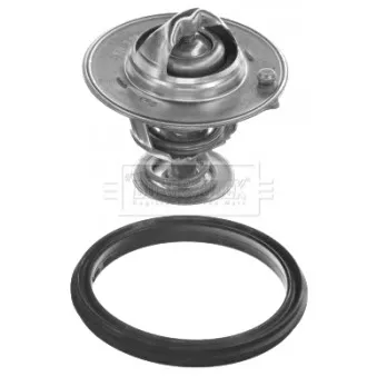 Thermostat d'eau BORG & BECK BBT469