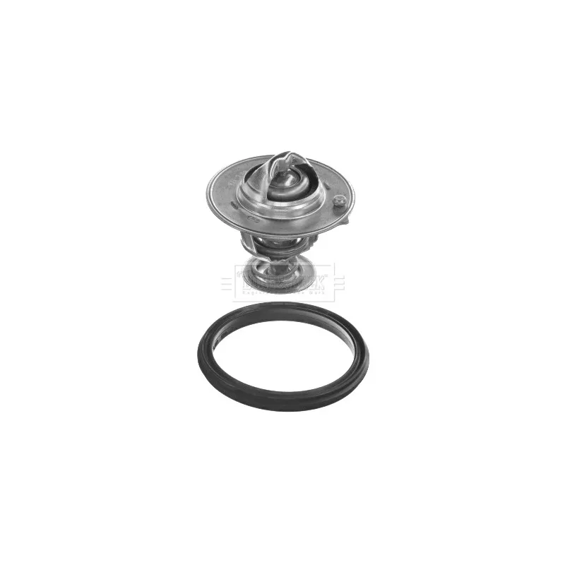 Thermostat d'eau BORG & BECK BBT469