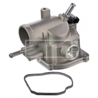 Thermostat d'eau BORG & BECK BBT480