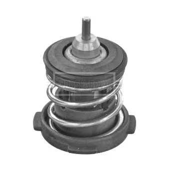 Thermostat d'eau BORG & BECK BBT489