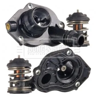 Thermostat d'eau BORG & BECK BBT491
