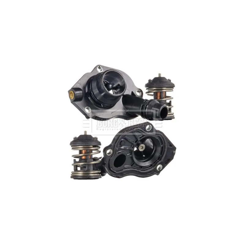 Thermostat d'eau BORG & BECK BBT491