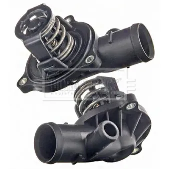 Thermostat d'eau BORG & BECK BBT499