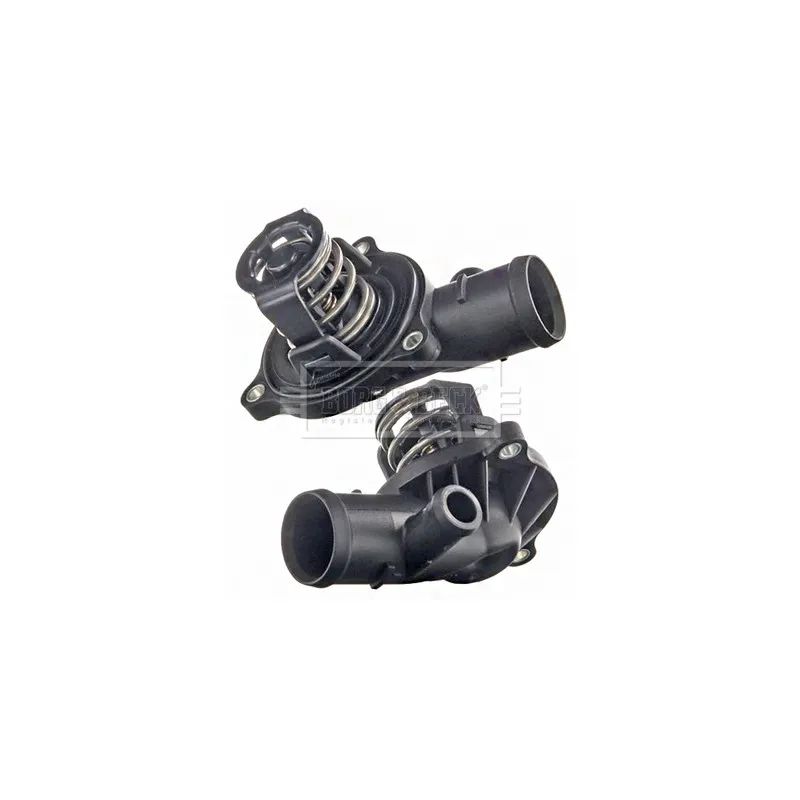 Thermostat d'eau BORG & BECK BBT499