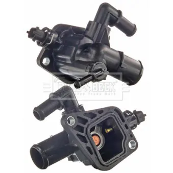 Thermostat d'eau BORG & BECK BBT500